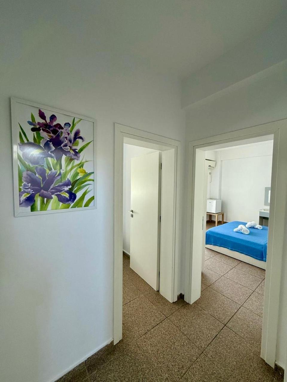 Hotel Stolis ヒマラ エクステリア 写真